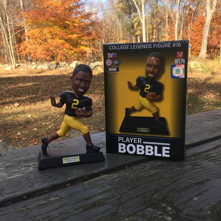 Bobble of the Day “Charles Woodson”