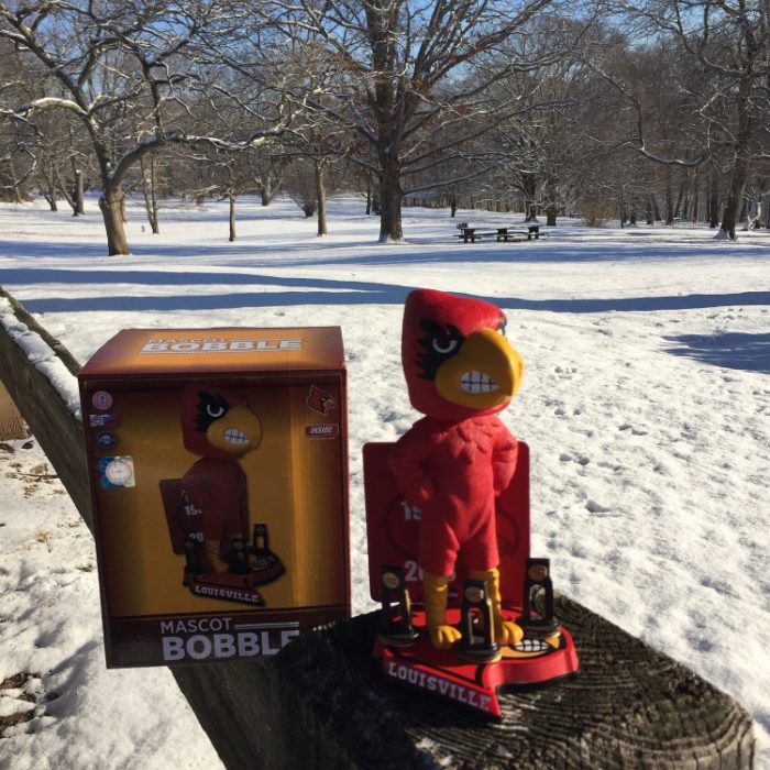 Bobble of the Day “Louisville Cardinal Bird”