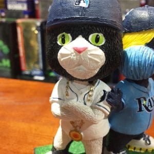 We Watched RED SOX vs. RAYS With MASCOT DJ KITTY at Historic TAMPA